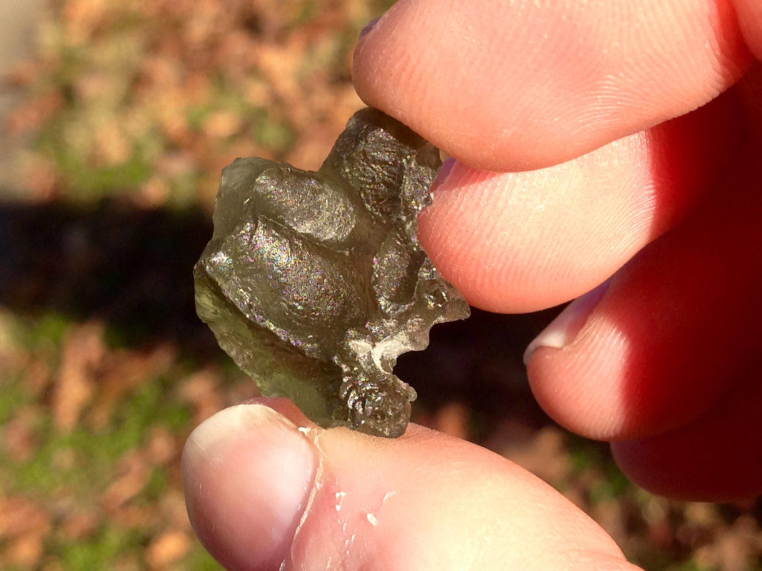 Moldavite Life