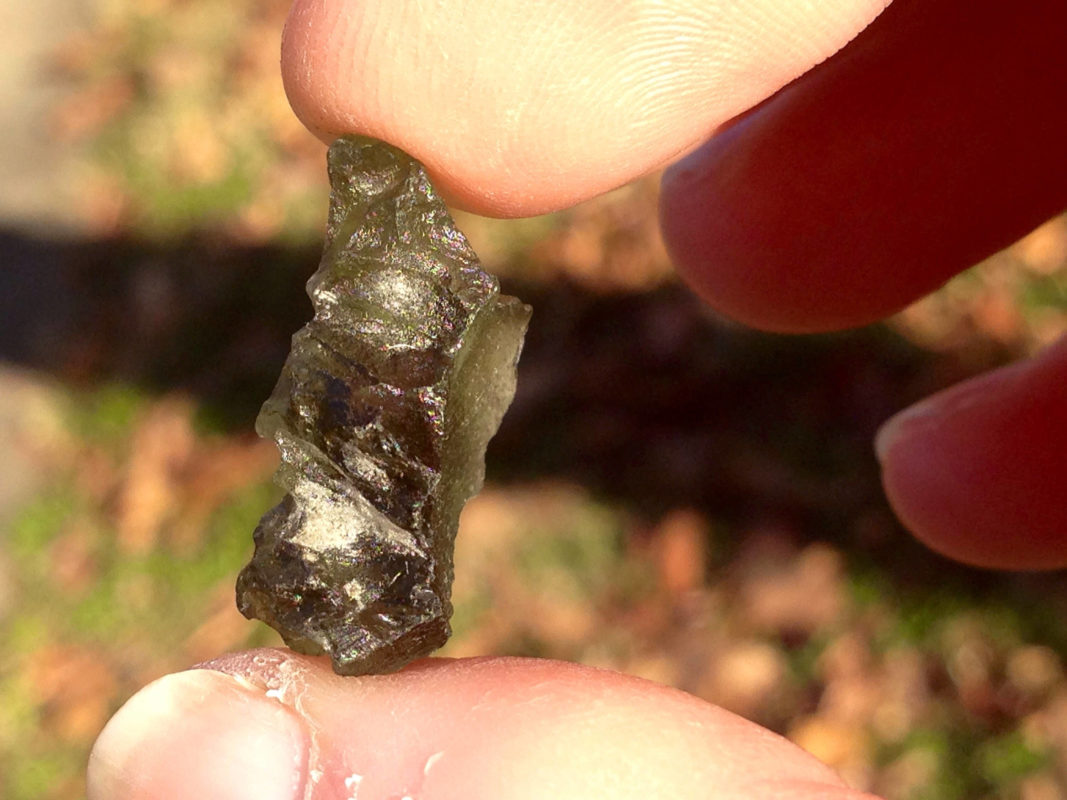 Moldavite Life