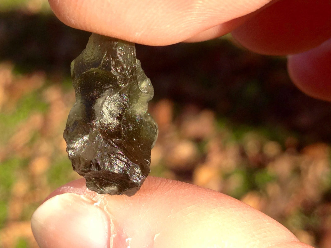 Moldavite Life